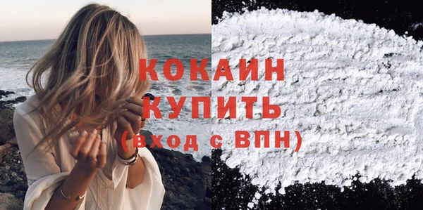 Альфа ПВП Верея