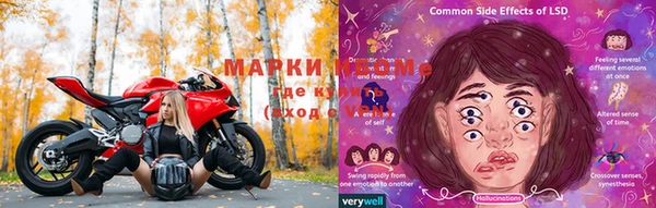 Альфа ПВП Верея