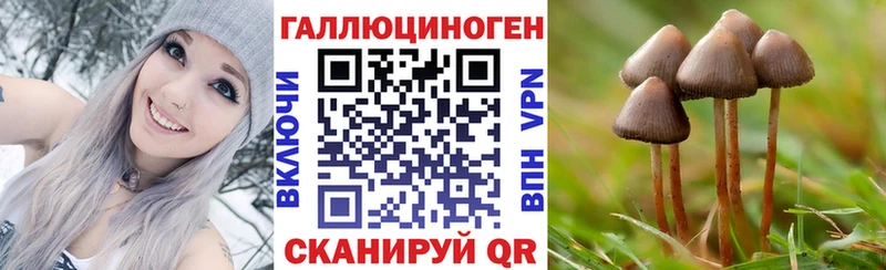 ссылка на мегу онион  Балаково  Псилоцибиновые грибы Cubensis 